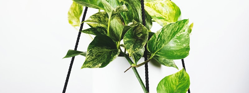 西班牙国家德比全场回放 - 巴塞罗那对阵皇家马德里的经典对决